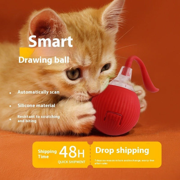 Interactive Cat Toy Ball Super Drive Cat Rolling Ball - Yahko Merchandise