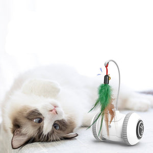 Interactive Cat Toy With Interchangeable Heads Pet Feather Toys - Yahko Merchandise