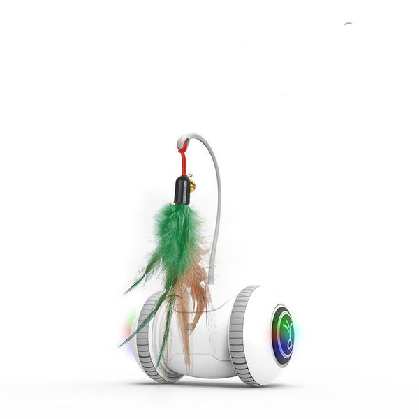 Interactive Cat Toy With Interchangeable Heads Pet Feather Toys - Yahko Merchandise