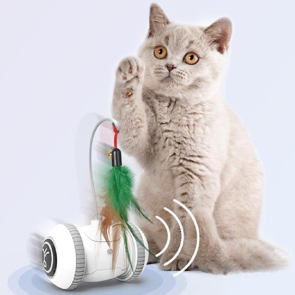 Interactive Cat Toy With Interchangeable Heads Pet Feather Toys - Yahko Merchandise