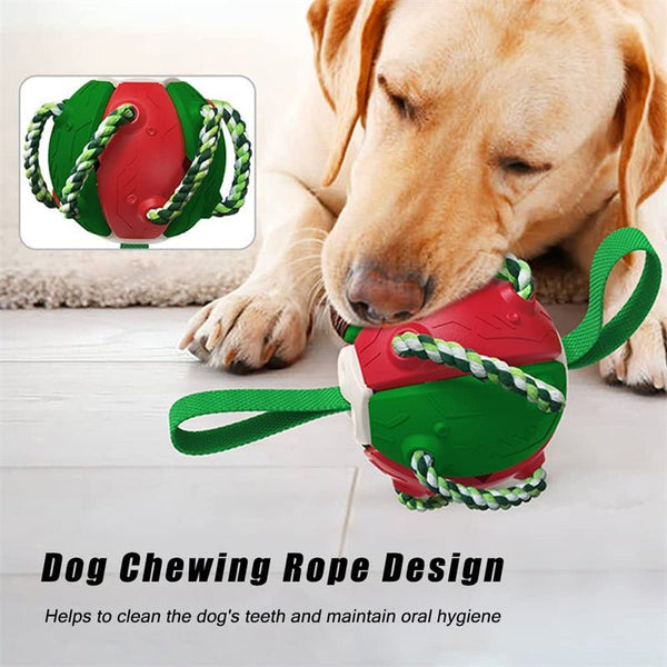 Interactive Dog Football Soccer Ball With Tabs Inflated Training Toy Outdoor Border Collie Balls Pet Products - Yahko Merchandise