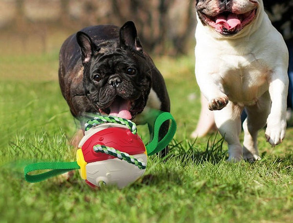 Interactive Dog Football Soccer Ball With Tabs Inflated Training Toy Outdoor Border Collie Balls Pet Products - Yahko Merchandise
