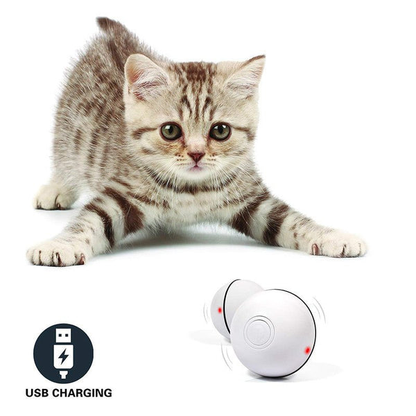 LED Laser Electronic Rolling Pet Funny Cat Toy Ball - Yahko Merchandise