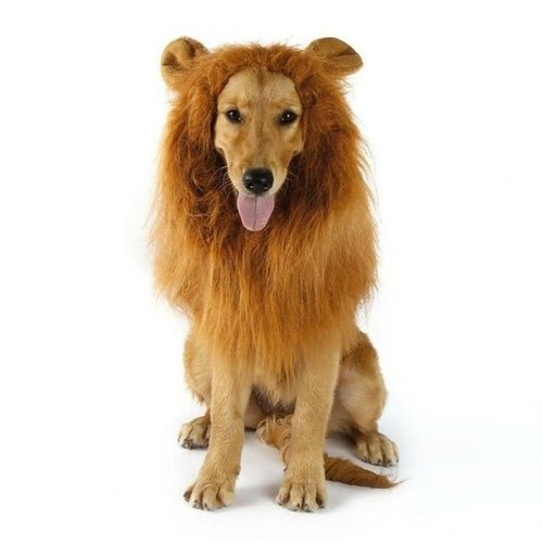 Lion Theme Dog Wig - Yahko Merchandise