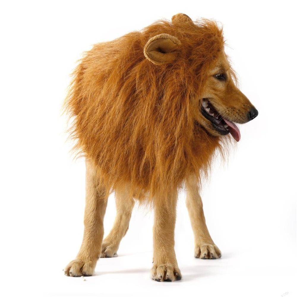 Lion Theme Dog Wig - Yahko Merchandise