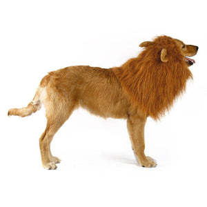 Lion Theme Dog Wig - Yahko Merchandise