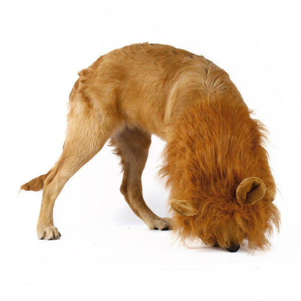Lion Theme Dog Wig - Yahko Merchandise