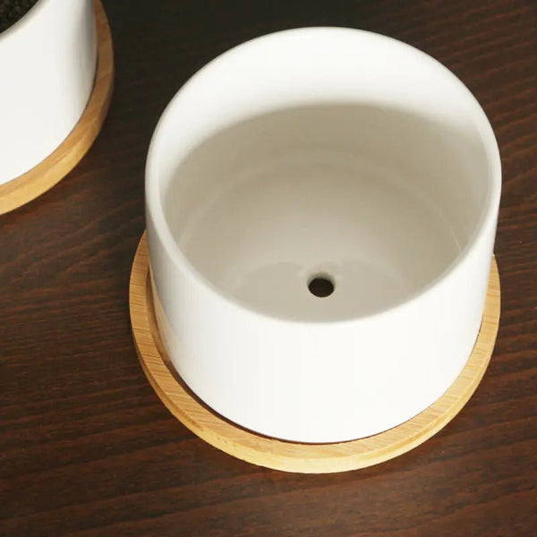 Minimalist Ceramic Flower Pot with Bamboo Stand - Yahko Merchandise
