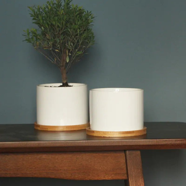 Minimalist Ceramic Flower Pot with Bamboo Stand - Yahko Merchandise
