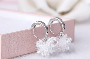 New fashion pure beauty ice 925 silver earrings hypoallergenic non - fading earrings - Yahko Merchandise