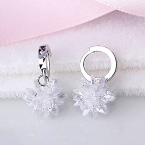 New fashion pure beauty ice 925 silver earrings hypoallergenic non - fading earrings - Yahko Merchandise