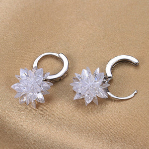 New fashion pure beauty ice 925 silver earrings hypoallergenic non - fading earrings - Yahko Merchandise
