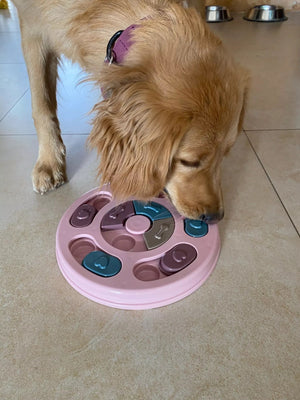 New Interactive Toy IQ Training Pets Slow Feeder Bowl Puzzle Eating - Yahko Merchandise