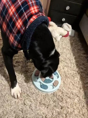 New Interactive Toy IQ Training Pets Slow Feeder Bowl Puzzle Eating - Yahko Merchandise