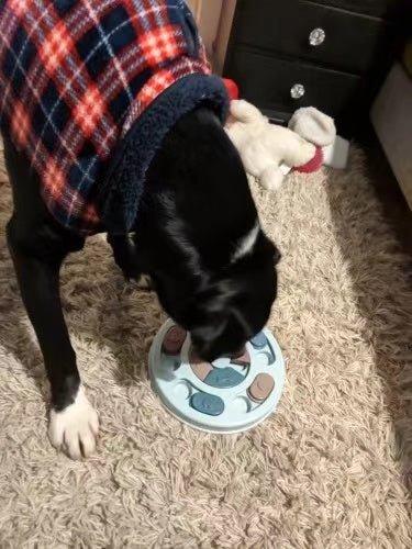New Interactive Toy IQ Training Pets Slow Feeder Bowl Puzzle Eating - Yahko Merchandise