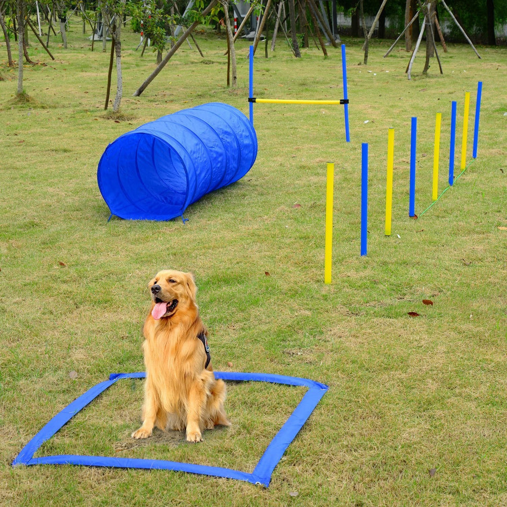 PawHut Dog Agility Starter Kit Pet Outdoor Exercise Training Set - Yahko Merchandise