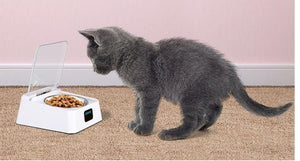 Pet 5G Bowl Automatic Pet Feeder - Yahko Merchandise