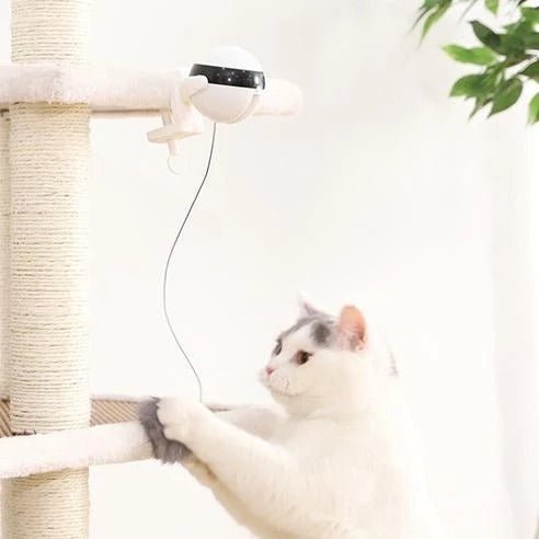 Pet Cat Toy Electronic Motion Cat Toy Interactive - Yahko Merchandise