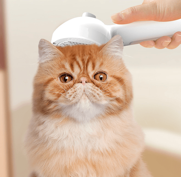 Pet Comb Self Cleaning Pets Hair Remover Brush For Dogs Grooming Comb - Yahko Merchandise