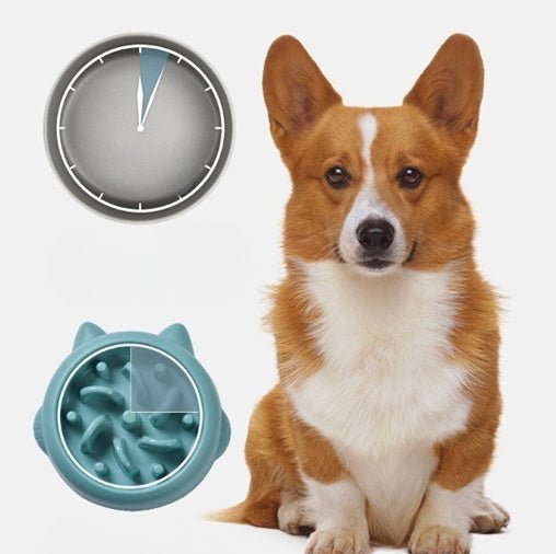 Pet Dog Cat Slow Feeder Bowls Anti Choking Slow Feeder Dish Bowl Home Dog Eating Plate Anti Gulping Bowl Supplies - Yahko Merchandise