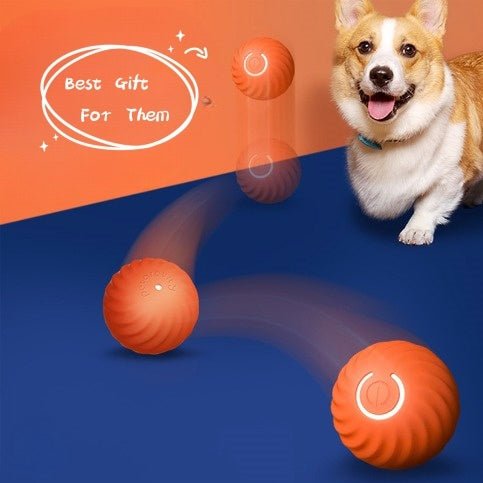 Pet Dog Rubber Ball Toys For Dogs Resistance To Bite Dog Chew Toys Puppy Pets Dogs Training Products - Yahko Merchandise