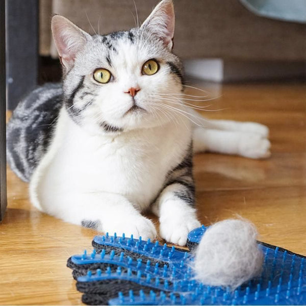 Pet Grooming Gloves - Yahko Merchandise