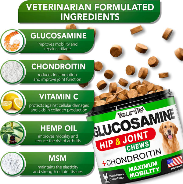 Pet Hip & Joint Supplement Chondroitin - Yahko Merchandise