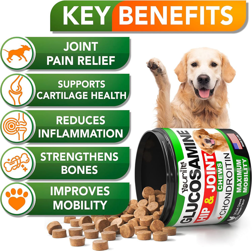 Pet Hip & Joint Supplement Chondroitin - Yahko Merchandise