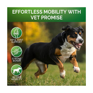 Pet Hip & Joint Supplement Chondroitin - Yahko Merchandise