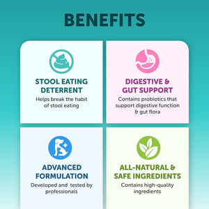 Pet Intestinal Probiotic Chewable Tablets - Yahko Merchandise