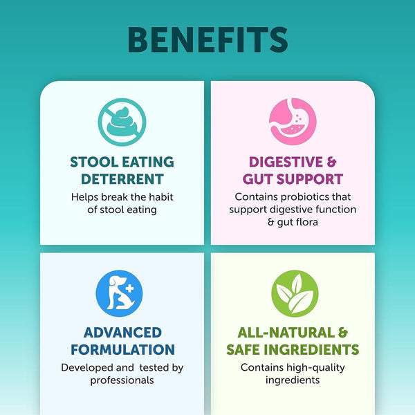 Pet Intestinal Probiotic Chewable Tablets - Yahko Merchandise