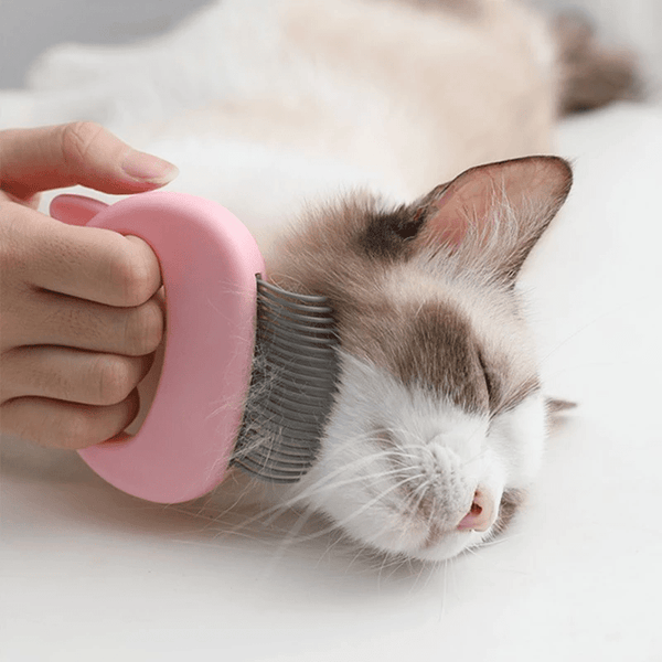 Pet Massage Brush Pet Grooming Massage Tool To Remove Loose Hairs - Yahko Merchandise