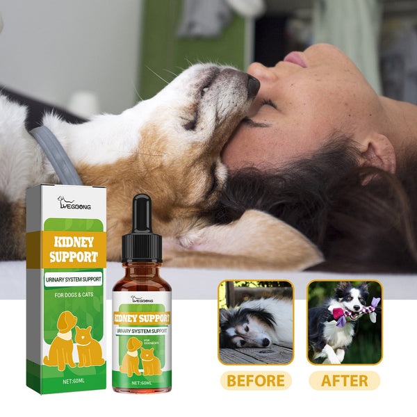 Pet Nutritional Supplements Enhance Energy Vitality - Yahko Merchandise