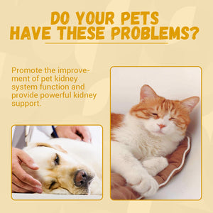 Pet Nutritional Supplements Enhance Energy Vitality - Yahko Merchandise