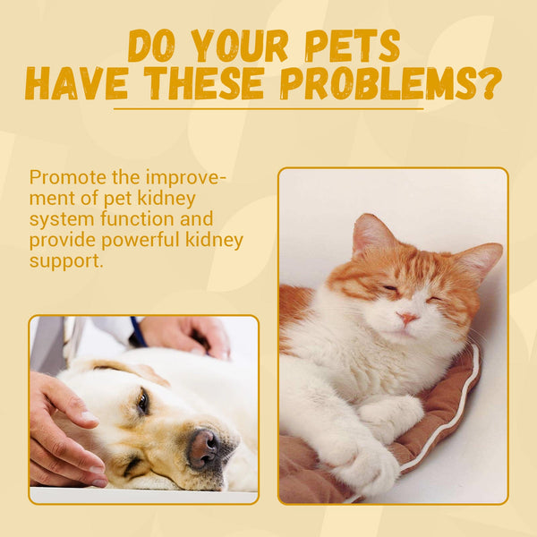 Pet Nutritional Supplements Enhance Energy Vitality - Yahko Merchandise