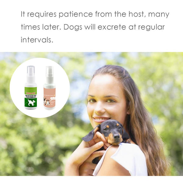 Pet Potty Training Spray - Yahko Merchandise