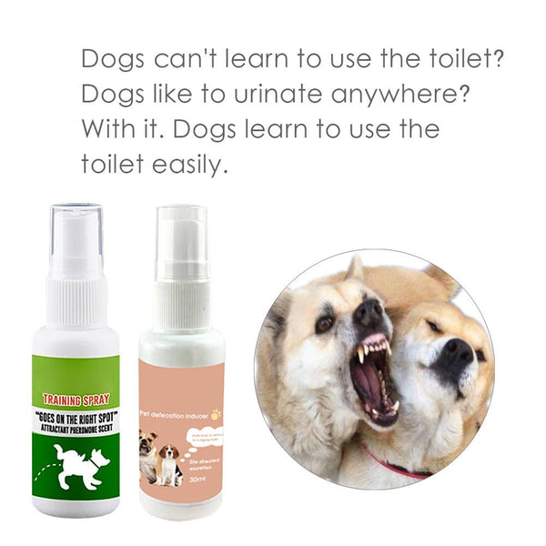 Pet Potty Training Spray - Yahko Merchandise