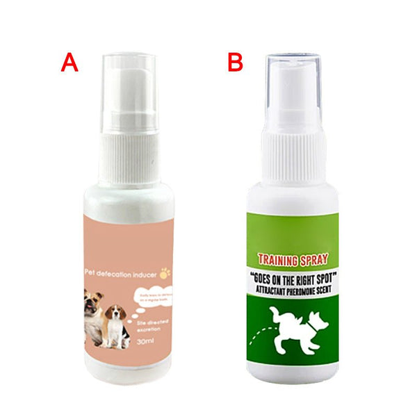 Pet Potty Training Spray - Yahko Merchandise
