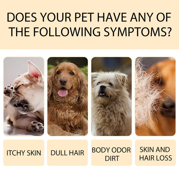 Pet Shampoo Mild And Clean Pet Cat And Dog Hair Soft And Unknotted Shampoo Shampoo - Yahko Merchandise