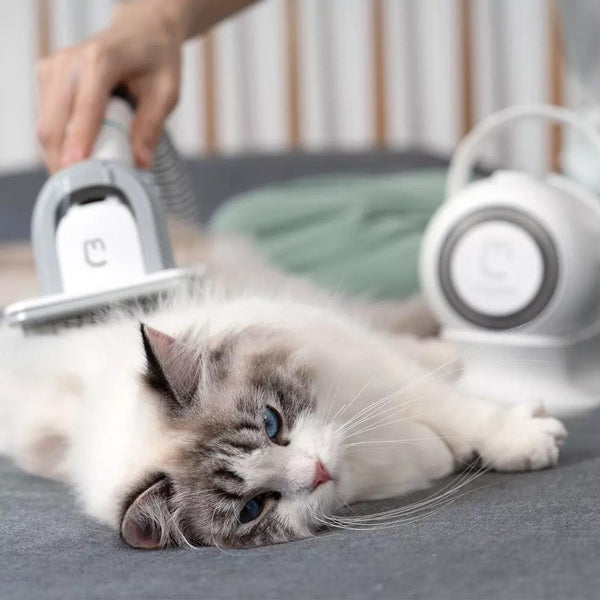 Pet Shaving Smart Grooming And Hair Sucker - Yahko Merchandise