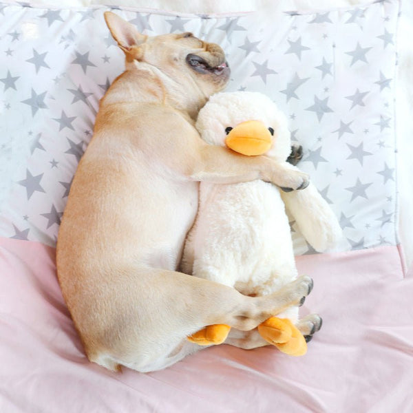 Pet Supplies Dog Plush Toys - Yahko Merchandise
