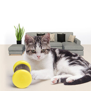 Pet Toy Magic Organ Corrugated Paper Wheel Cat Scratching Board Powder - Yahko Merchandise