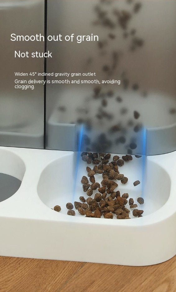 Pet Visual Automatic Pet Feeder - Yahko Merchandise