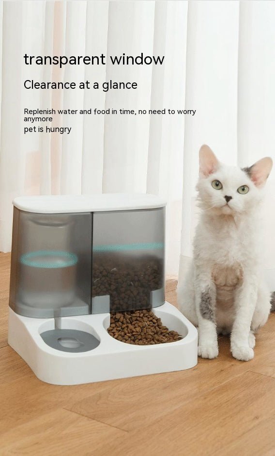 Pet Visual Automatic Pet Feeder - Yahko Merchandise