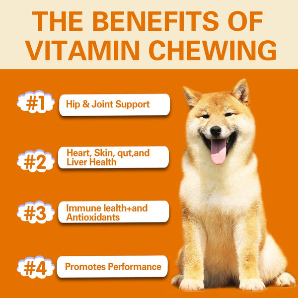 Pet Vitamin Multifunctional Health Care Products Dog - Yahko Merchandise