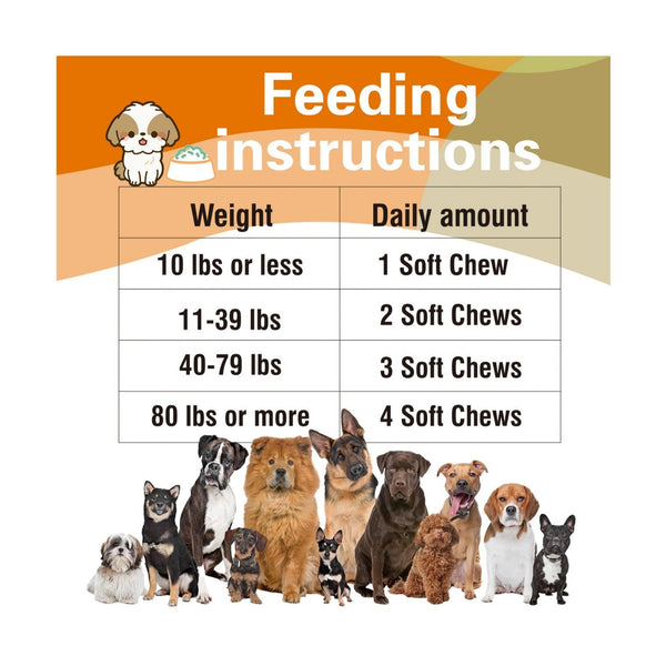 Pet Vitamin Multifunctional Health Care Products Dog - Yahko Merchandise