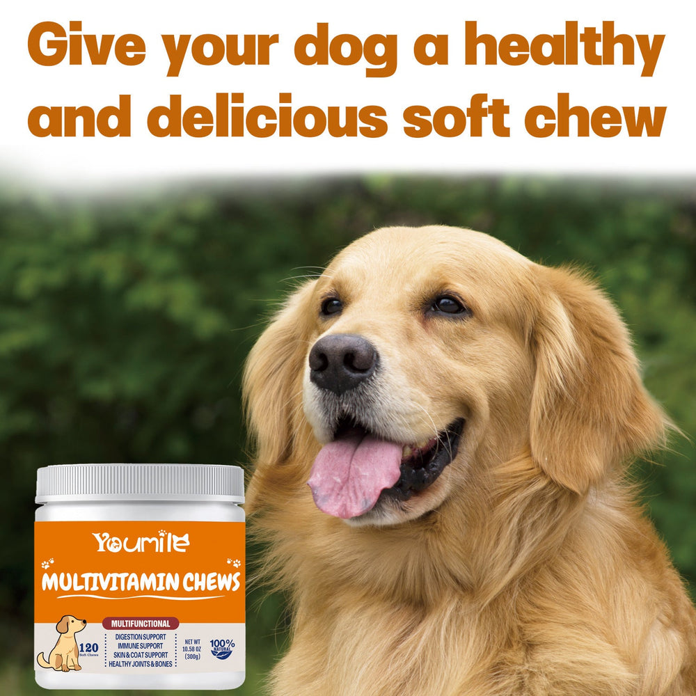 Pet Vitamin Multifunctional Health Care Products Dog - Yahko Merchandise