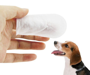 Pet Wipes Wipes for Pet Cleaning Teeth - Yahko Merchandise