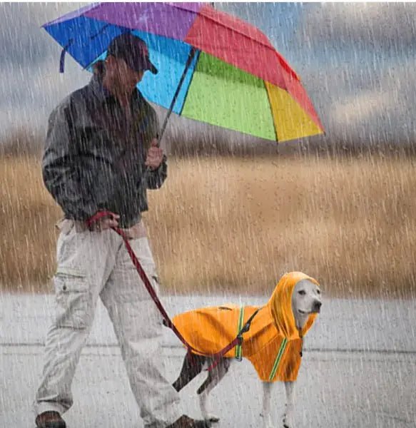Pets Rain Coat - Yahko Merchandise