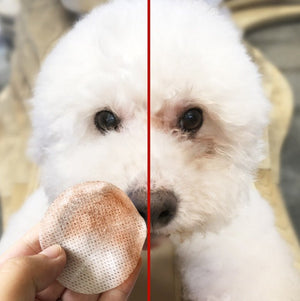 Pets to tears wipes Teddy Bear Xiong Bomei cat eyes tear stains cleaning paper towels pet supplies 100 pieces - Yahko Merchandise